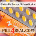 African Black Ant Pills new05